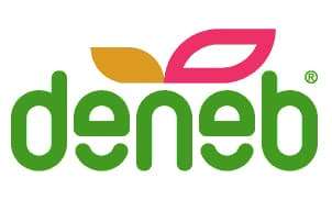 deneb_1 deneb_1